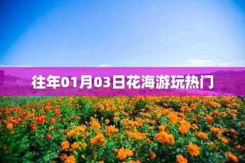 花海游玩熱門榜單揭曉，不容錯(cuò)過的盛景盛事！