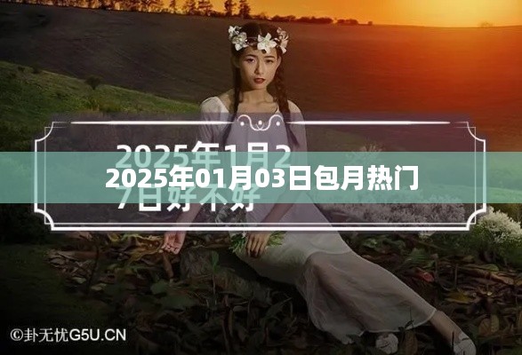 『2025年包月熱門一覽』日期細(xì)節(jié)揭秘