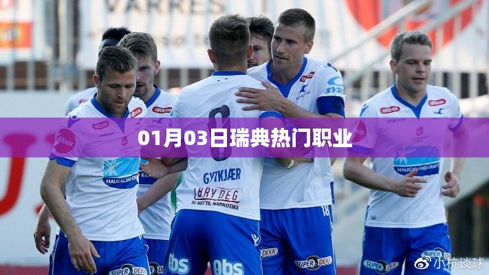 瑞典熱門職業(yè)列表揭曉，最新職業(yè)排名及趨勢(shì)分析