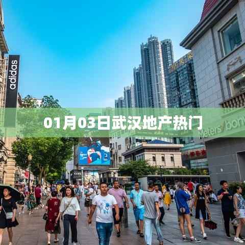 武漢地產(chǎn)熱門動(dòng)態(tài) 01月03日揭秘