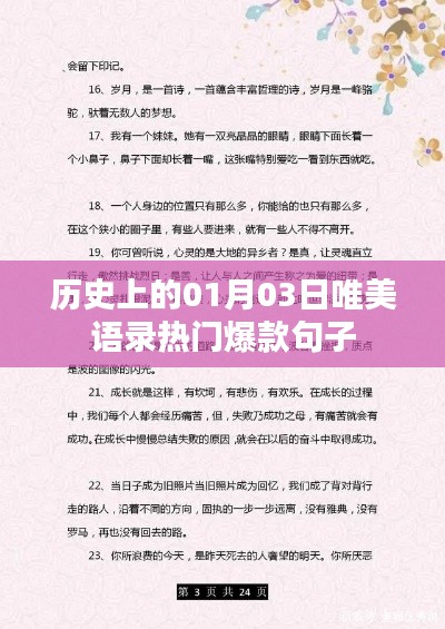 精選歷史唯美語錄，一月三日熱門爆款句子