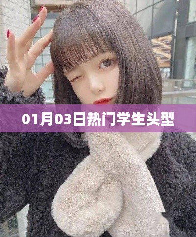 熱門學(xué)生發(fā)型潮流，01月03日時(shí)尚頭型推薦