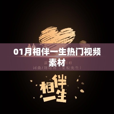 相伴一生熱門視頻素材，精選優(yōu)質內容分享