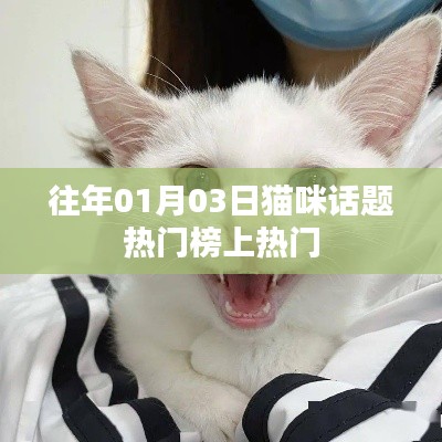 貓咪話題熱門榜上榜日期揭秘