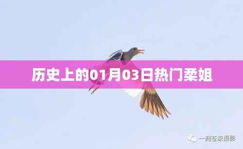 熱門(mén)柔姐，歷史上的重要時(shí)刻回顧