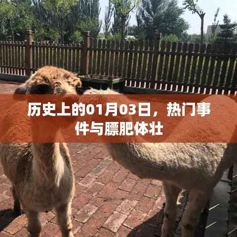 歷史上的大事件，一月三日與膘肥體壯的日子