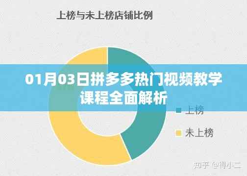 拼多多熱門視頻教學(xué)課程深度解析