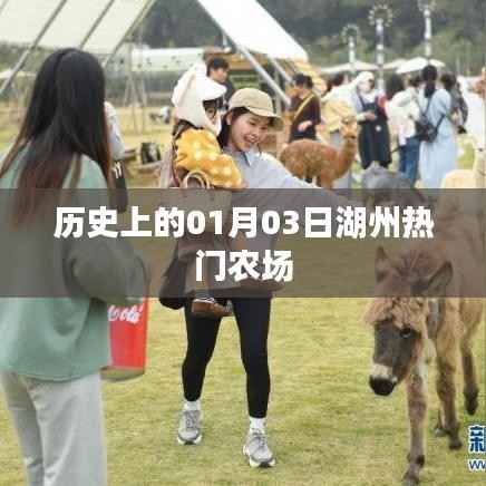 湖州熱門(mén)農(nóng)場(chǎng)歷史揭秘，一月三日的重要時(shí)刻