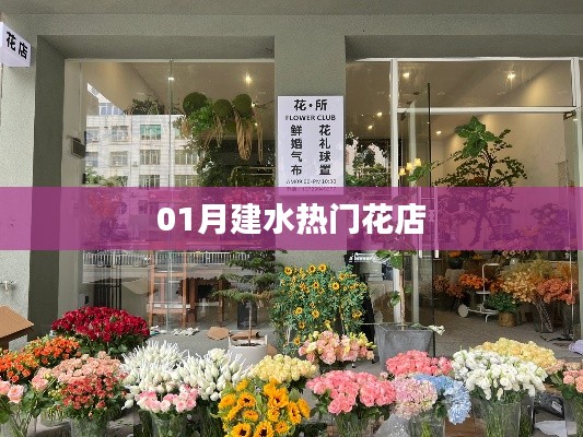 建水一月熱門(mén)花店推薦