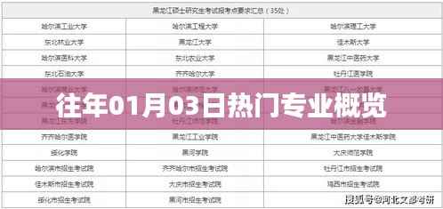 歷年熱門(mén)專業(yè)概覽，聚焦一月三日盛況。