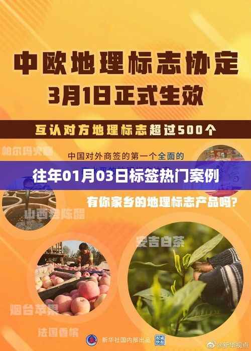 『歷年一月初三日熱門案例大盤點(diǎn)』