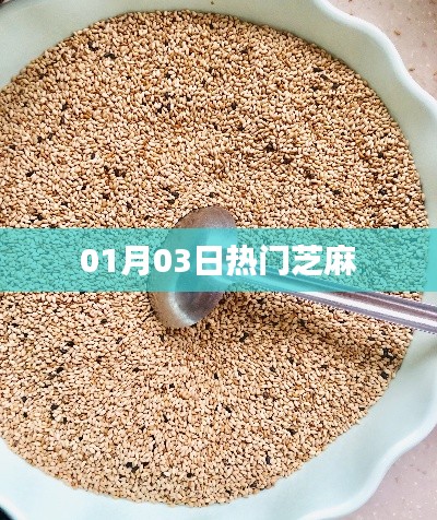 最新熱門(mén)芝麻資訊，芝麻動(dòng)態(tài)一網(wǎng)打盡