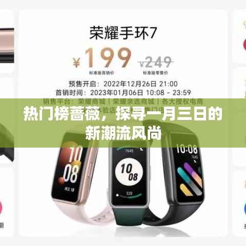 熱門榜薔薇揭秘一月三日風尚新潮流