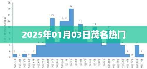 茂名熱門資訊速遞，2025年元旦記事