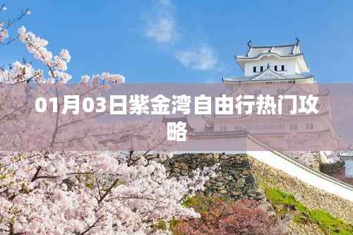 紫金灣自由行攻略指南，熱門景點一網(wǎng)打盡