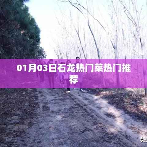 石龍熱門菜推薦榜單出爐！不容錯過的美食盛宴！