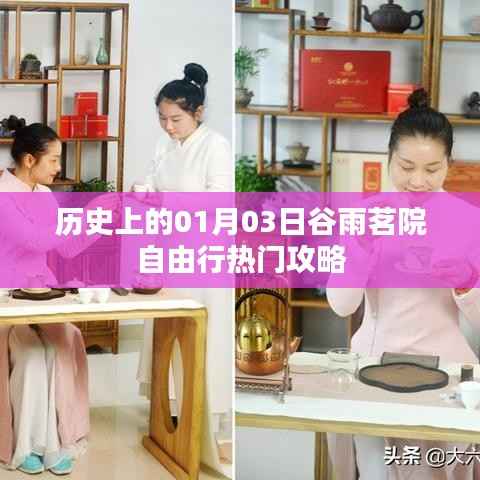 谷雨茗院自由行，一月三日熱門攻略揭秘