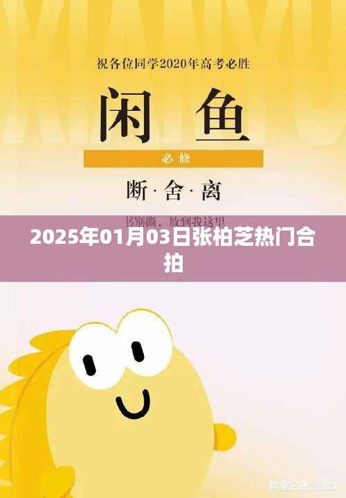 張柏芝最新合拍電影，2025年大片亮相！