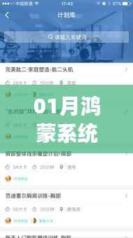 鴻蒙系統(tǒng)個性化定制，去掉熱門推薦，優(yōu)化用戶體驗