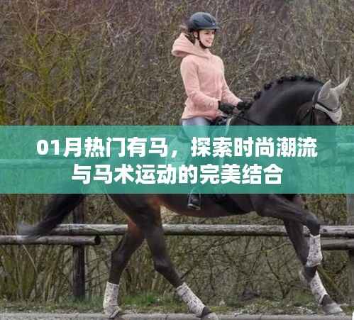 報(bào)名 第9頁(yè)