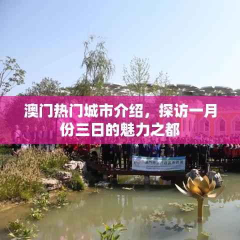澳門一月份三日游，揭秘魅力之都的熱門景點(diǎn)