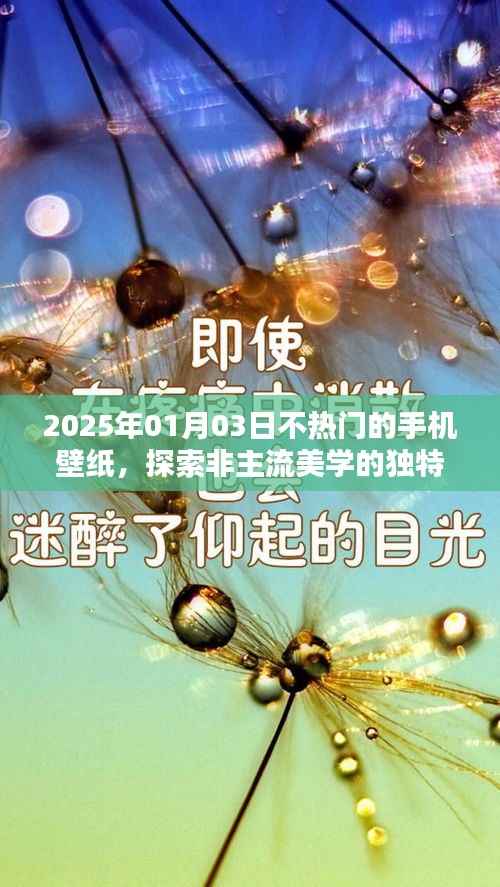 非主流美學(xué)魅力揭秘，探索冷門手機壁紙的獨特韻味