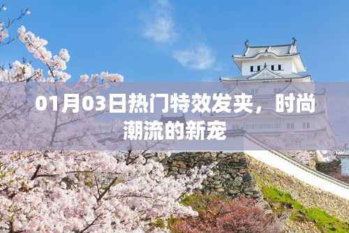 熱門特效發(fā)夾，引領時尚潮流新寵