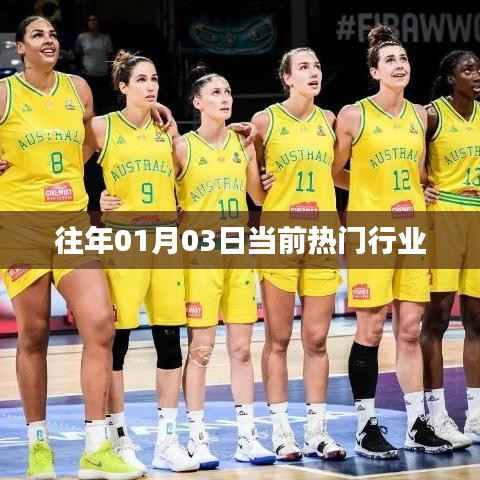 熱門行業(yè)趨勢(shì)概覽，聚焦最新動(dòng)態(tài)