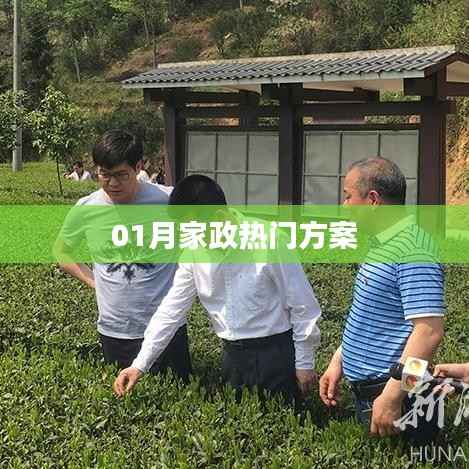 家政熱門方案精選，新年新氣象