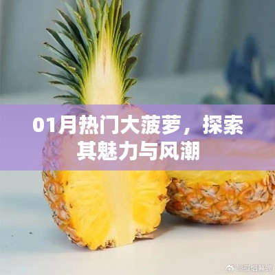 探索大菠蘿魅力與風(fēng)潮，一月熱門揭秘
